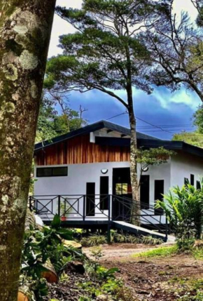 Roca Verde - Monteverde Cloud Forest Lodging
